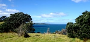 A day in Auckland’s Shakespear Regional Park