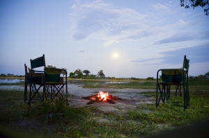 A Mobile Safari Adventure...