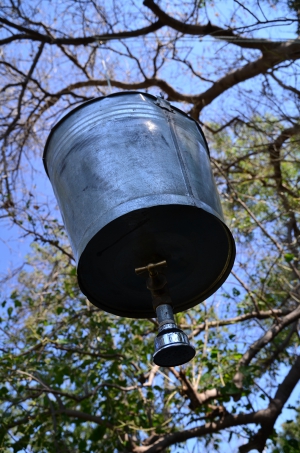 A Mobile Safari Adventure...