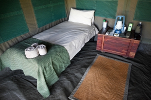 A Mobile Safari Adventure...