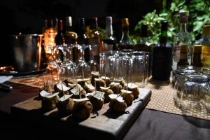 A Mobile Safari Adventure...