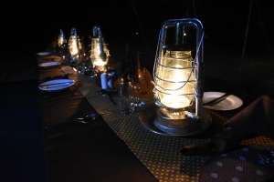 A Mobile Safari Adventure...