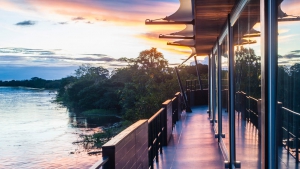 A trip to the wig - do it yourself! 7 ideas for an unforgettable holiday