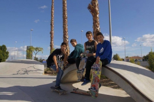 Alex's Skate School