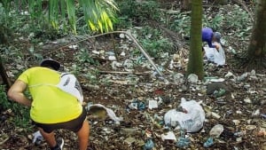 Almost 9 tons of plastic were collected on the beaches of Costa del Este