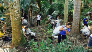 Almost 9 tons of plastic were collected on the beaches of Costa del Este