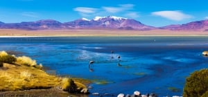Attention Atacama ørkenen er blevet udnævnt som den bedste romantiske destination i Sydamerika