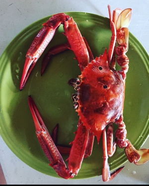 Bazaruto Archipelago Island Hopping