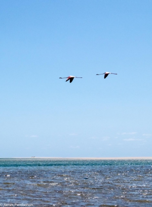 Bazaruto Archipelago Island Hopping