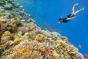 Belize a little known Caribbean treasure