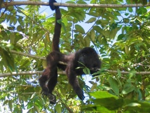 Belize a little known Caribbean treasure