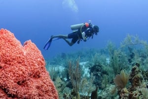 Belize, enjoying the Caribbean