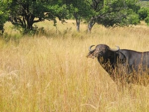Best Day Trips - Harare
