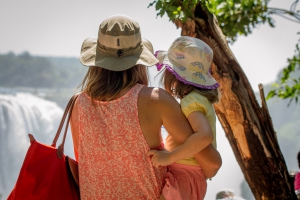 Best Guide Books On Zimbabwe