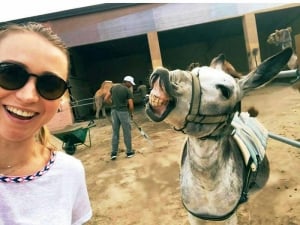 Camel Park - An Amazing Anventure for All