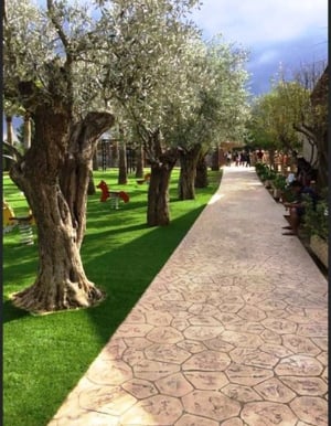 Camel Park - An Amazing Anventure for All