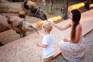 Camel Park - An Amazing Anventure for All