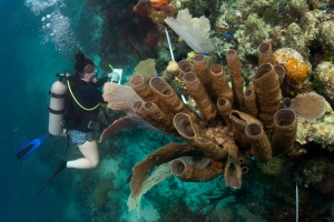 Central America, the destination with endless water activities.