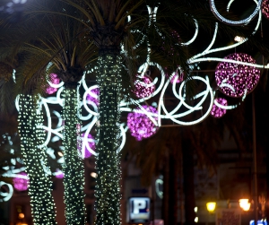 Christmas Day in Marbella 2017