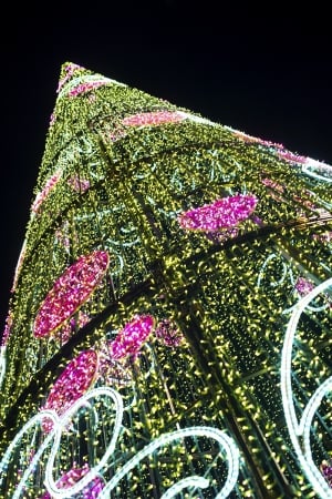 Christmas Day in Marbella 2017