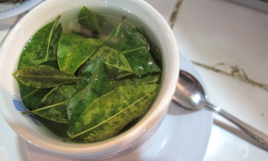 Coca leaf tea for preventing altitude sickness in Cusco