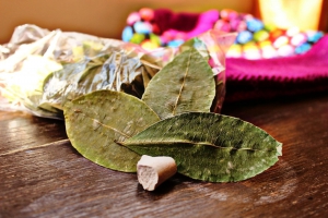 Coca leaf tea for preventing altitude sickness in Cusco