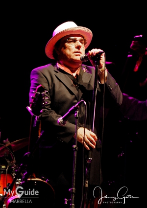 Concerts on the Coast