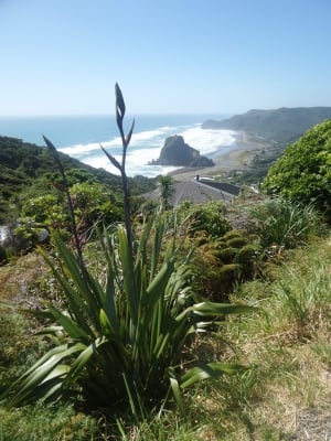 Crystal Mountain in West Auckland - Jewelry Shop, Museum and Theme Park