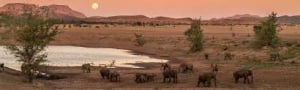 Damaraland