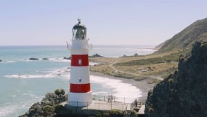 Discover the Top Things To Do In Wairarapa
