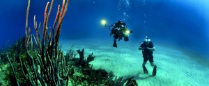 Diving in Belize