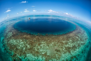 Diving in Lighthouse Reef
