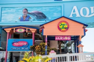 Easter vacations in Cancun What to do?