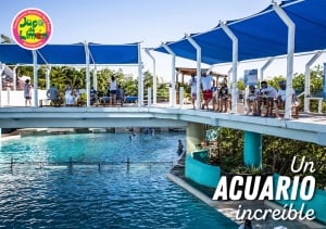 Easter vacations in Cancun What to do?