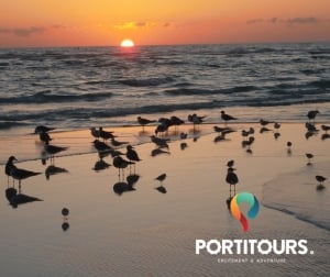 Explore the Algarve all year round