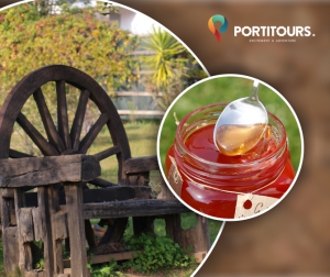 Explore the Algarve all year round