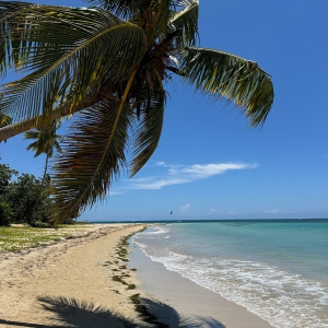 Explore the Best Kitesurfing School in Las Terrenas: Estilo de Vida Kitesurf School in the Dominican Republic