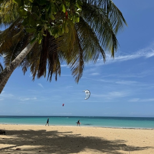 Explore the Best Kitesurfing School in Las Terrenas: Estilo de Vida Kitesurf School in the Dominican Republic
