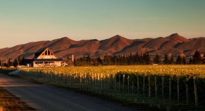 Exploring the Best Waipara Wineries