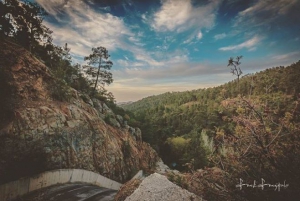 Friday Exclusive | Week 3 of our Top 5 Instagram images!