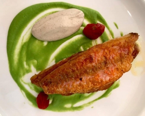 Gastro Scene in Montenegro - Culinary Show Edition