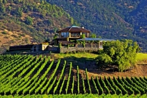 Att lära känna vingårdarna i Chile