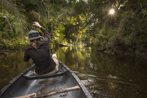 Global investments for conservation