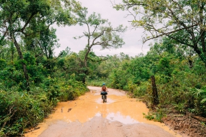 Global investments for conservation