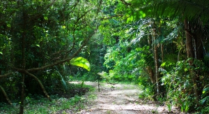 Global investments for conservation