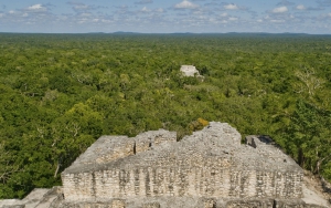 Global investments for conservation