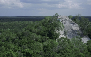 Global investments for conservation