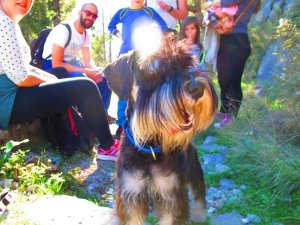 Hiking Around Kotor: Vrmac Hill Hike