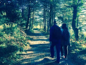 Hiking Around Kotor: Vrmac Hill Hike