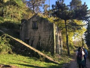 Hiking Around Kotor: Vrmac Hill Hike